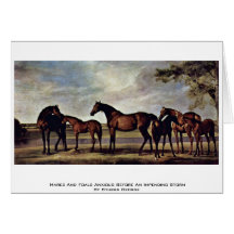 Mares And Foals Anxious Before An Impending Storm Cards