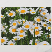 Margaret flowers full colour flyer