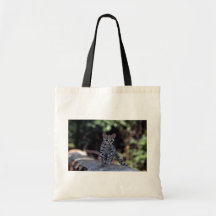 Margay (Felis wiedi) kitten in tree Tote Bag