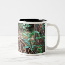 Margay, Leopardus wiedi, Native to Mexico into Mugs