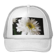 Marguerite 10 de Gerbera Casquette