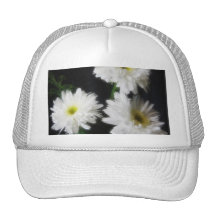 Marguerite 11 de Gerbera Casquettes De Camionneur