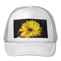 Marguerite 1 de Gerbera Casquette