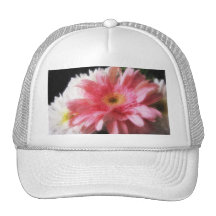 Marguerite 5 de Gerbera Painterly Casquette