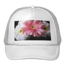 Marguerite 6 de Gerbera Casquettes