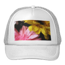 Marguerite 8 de Gerbera Casquettes De Camionneur