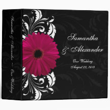 Marguerite fuchsia de Gerbera de rouleau avec noir