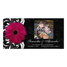 Marguerite fuchsia de Gerbera de rouleau avec noir Photocarte Customisée