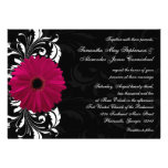 Marguerite fuchsia de Gerbera de rouleau avec noir Invitations