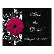 Marguerite fuchsia de Gerbera de rouleau avec noir Invitations Personnalisées