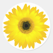 Marguerite jaune de Gerbera Adhésif Rond