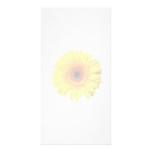 Marguerite jaune ensoleillée de Gerbera Photocarte Customisée
