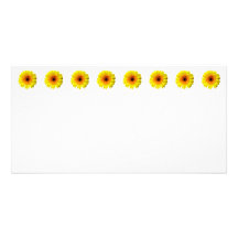 Marguerite jaune ensoleillée de Gerbera Photocartes Personnalisées