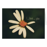 marguerite je t'aime cartes de vœux