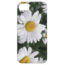 Marguerite la fleur pour le 5ème anniversaire coques Case-Mate iPhone 5