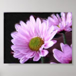 marguerite lilas posters