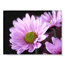 marguerite lilas affiches