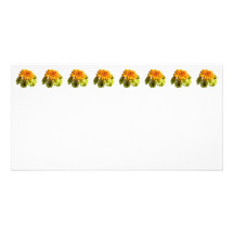 Marguerite orange avec les mamans jaunes photocarte
