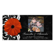Marguerite orange de Gerbera avec le rouleau noir  Carte Avec Photo