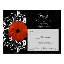 Marguerite orange de Gerbera avec le rouleau noir  Carte Postale