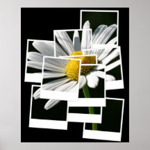 Marguerite Poster