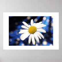 marguerite posterdrucke