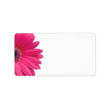 Marguerite rose de Gerbera épousant les étiquettes Étiquette D’adresse