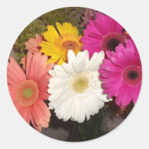 Marguerites 017 de Gerbera Adhésif Rond