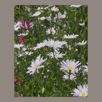 Marguerites affiches