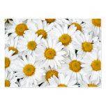 Marguerites Cartes De Visite Personnelles