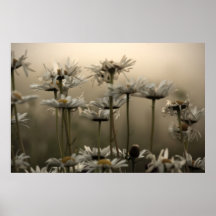 Marguerites dans la copie de beaux-arts de brouill posters