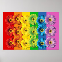 Marguerites d'arc-en-ciel posters
