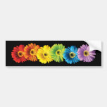 Marguerites d'arc-en-ciel autocollant pour voiture