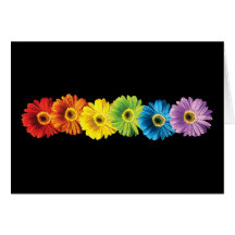 Marguerites d'arc-en-ciel carte