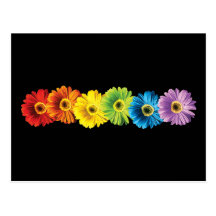 Marguerites d'arc-en-ciel cartes postales
