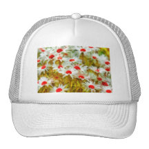 Marguerites in Field Mesh Hats
