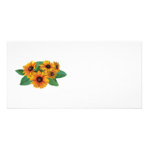 Marguerites jaunes d'or de Gerbera Photocartes