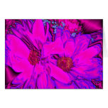 Marguerites roses et pourpres métalliques cartes de vœux