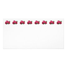 Marguerites roses foncées de Gerbera Cartes De Vœux Avec Photo