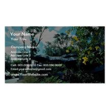 Maria Farinha, State of Pernambuco, Brazil  flower Business Cards