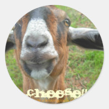 Mariah the Goat,  "ChEeSe!!!" sticker