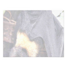 Mariana Fruit Bat Custom Invitations