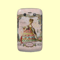 Marie Antoinette in Pink Paris Case casemate cases