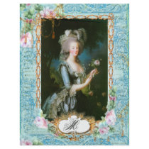 Marie Antoinette Pink Roses n Lace