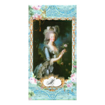 Marie Antoinette Pink Roses n Lace