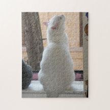 Marie Celeste Kitty Seeks Puzzle