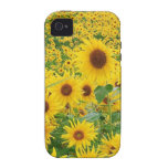 Marie iPHONE 4/4S « TOURNESOLS " iPhone 4 Case