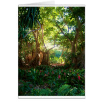 Marie Selby Botanical Gardens Card