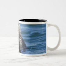Mariés de lutris d'Enhydra de loutre de mer de la  Tasses À Café
