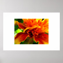 Marigold Delight Posters